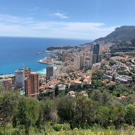 Centre De Beausoleil, Climatise, Wifi, Terrasse. Appartement Buitenkant foto