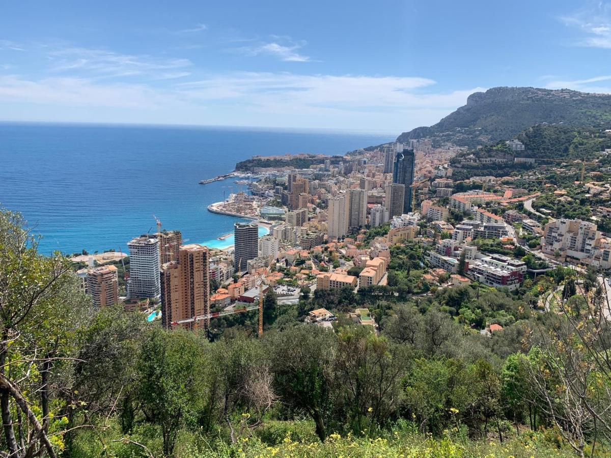 Centre De Beausoleil, Climatise, Wifi, Terrasse. Appartement Buitenkant foto